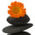 flower, spa, stones, calendula, medicine, therapy, healthy, beauty, relaxation, health, aromatherapy, nature, treatment, lifestyle, alternative, healthcare, white, perfume, tranquil, scene, in, wellbeing, freshness, mental, scented, femininity, purity, reflection, studio, care, innocence, serene, perfection, life, pebble, still, medical